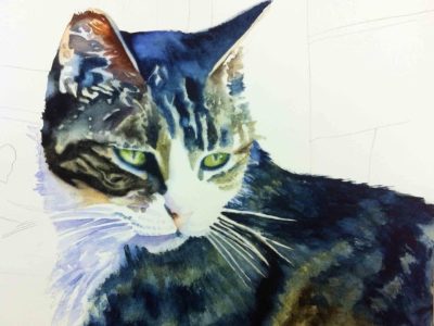 version=1&uuid=B0217D18-3084-4D63-B83E-DC69063A0C85&mode=compatible&noloc=0